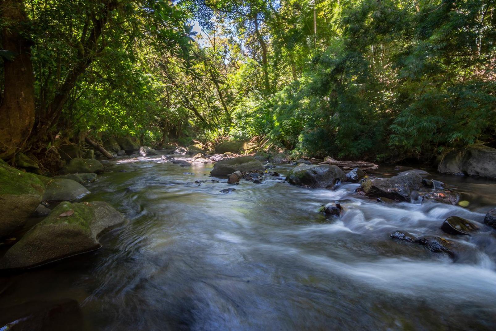 Вилла Quinta Esencia Алахуэла Экстерьер фото